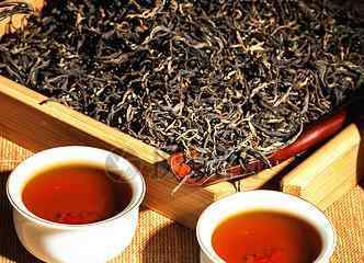 普洱茶减肥合适的群体有哪些?