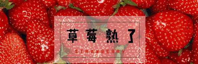红颜章姬哪个更甜 快看！象山草莓与众不同！奶白+靓红，不仅甜还高颜值！