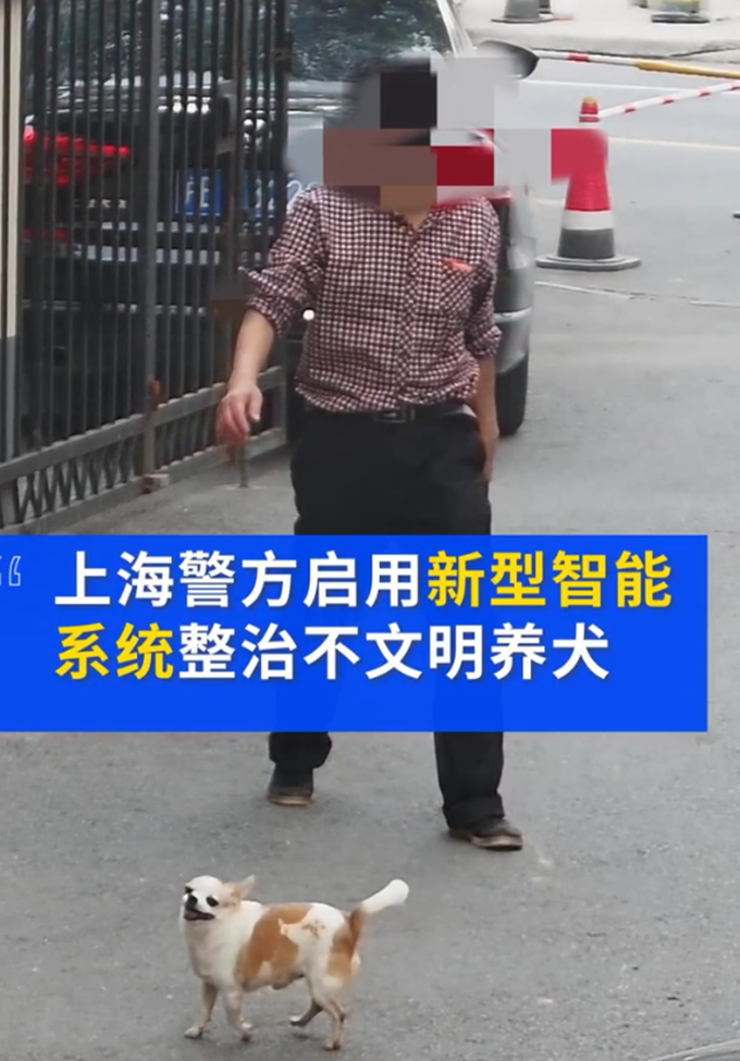 上海不牵绳遛狗将被抓拍处罚 民警处罚有了证据支撑 网友表示支持