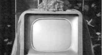 儿时,你家中有效过黑白电视机吗?