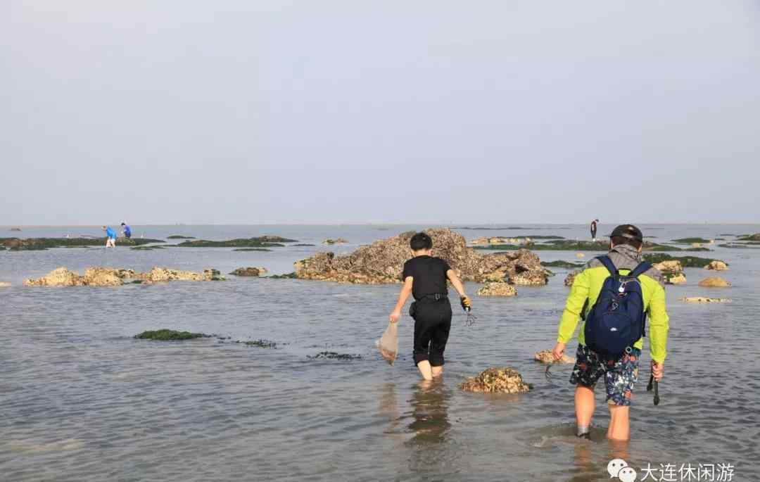 大连市夏家河子潮汐表2017全新!大连赶海攻略大全,全方位