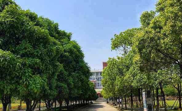 武汉科技大学城市学院怎么样 武汉科技大学城市学院是几本（本科专业+专科专业有哪些）