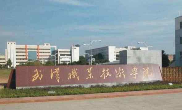 武汉专科学校排名 武汉高职高专学校排名2020