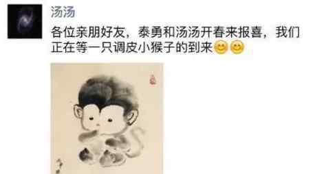 韩佳人的孩子 汤唯宣布怀孕 盘点2016“生猴子”的明星辣妈