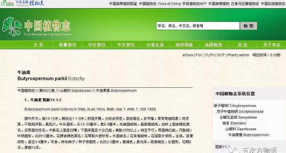 开启《中国植物志》PDF网址,在搜索栏中输入“释迦果”仨字,
