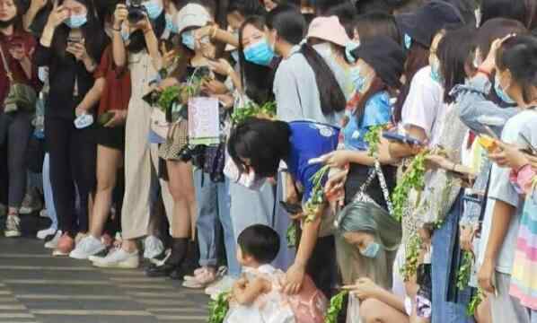 王一博粉丝叫什么 王一博粉丝拿香菜应援什么情况？终于真相了，原来是这样！