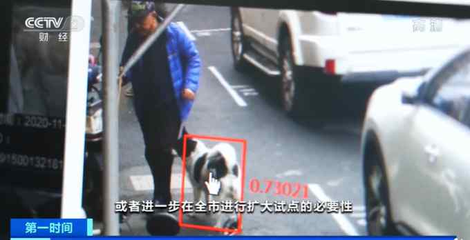 上海处罚超20起遛狗不牵绳行为 网友：支持！