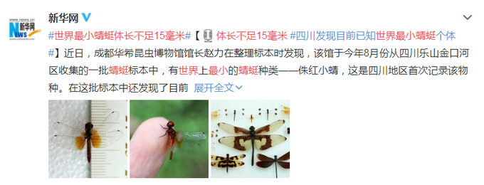世界最小蜻蜓体长不足15毫米 四川地区首次记录该物种