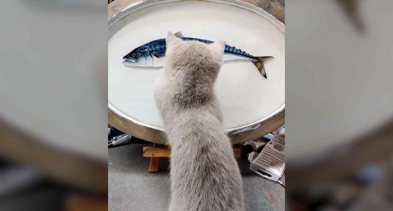 小伙创作3D树脂鱼馋得猫舔盆子是怎么回事逼真的像是活鱼被速冻了