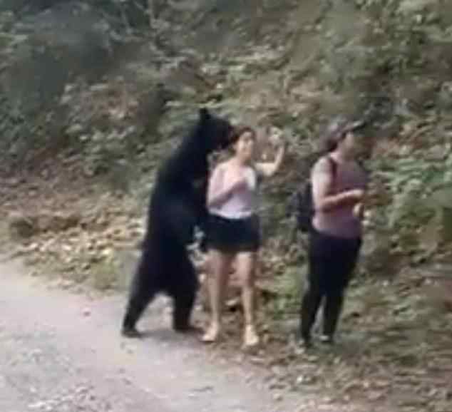 熊抱 3名女子路遇黑熊被熊抱什么情况?怎么回事?终于真相了,原来是这样!