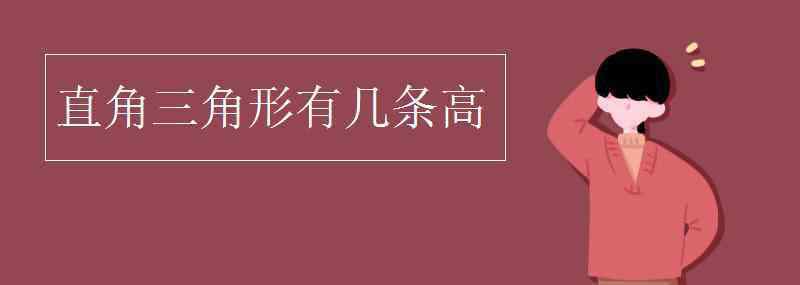 直角三角形有几条高 直角三角形有几条高