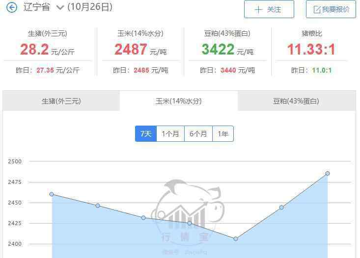 东北玉米最新价格 东北玉米最新价格多少，东北玉米产量每亩多少斤