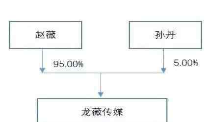 赵薇身价 赵薇身价多少亿，明星身价是怎么算的