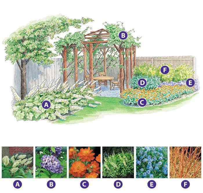 花境设计 一些花园和花境的设计方案，给大家做参考～