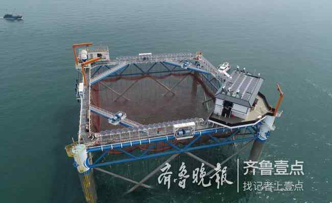 网箱养殖 国内首座智能化网箱安家烟台大钦岛，每年能养千吨鱼