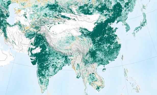 绿色的地球 真的!地球比20年前更绿 多了一个亚马逊雨林!中国、印度贡献最大