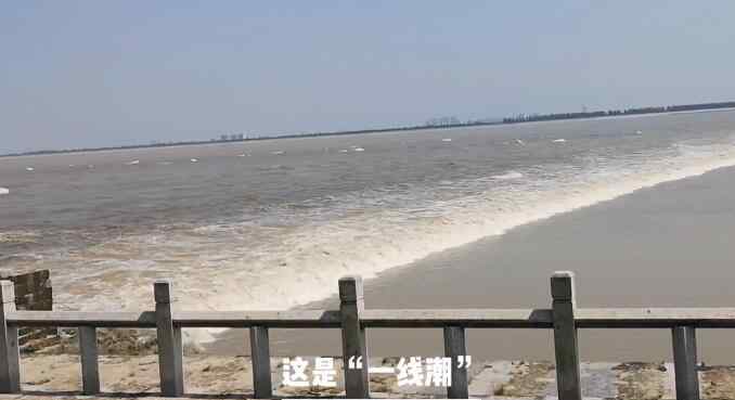 八月十八潮 八月十八潮壮观天下无！钱塘江鬼王潮将至 观潮圣地老盐仓人潮涌动