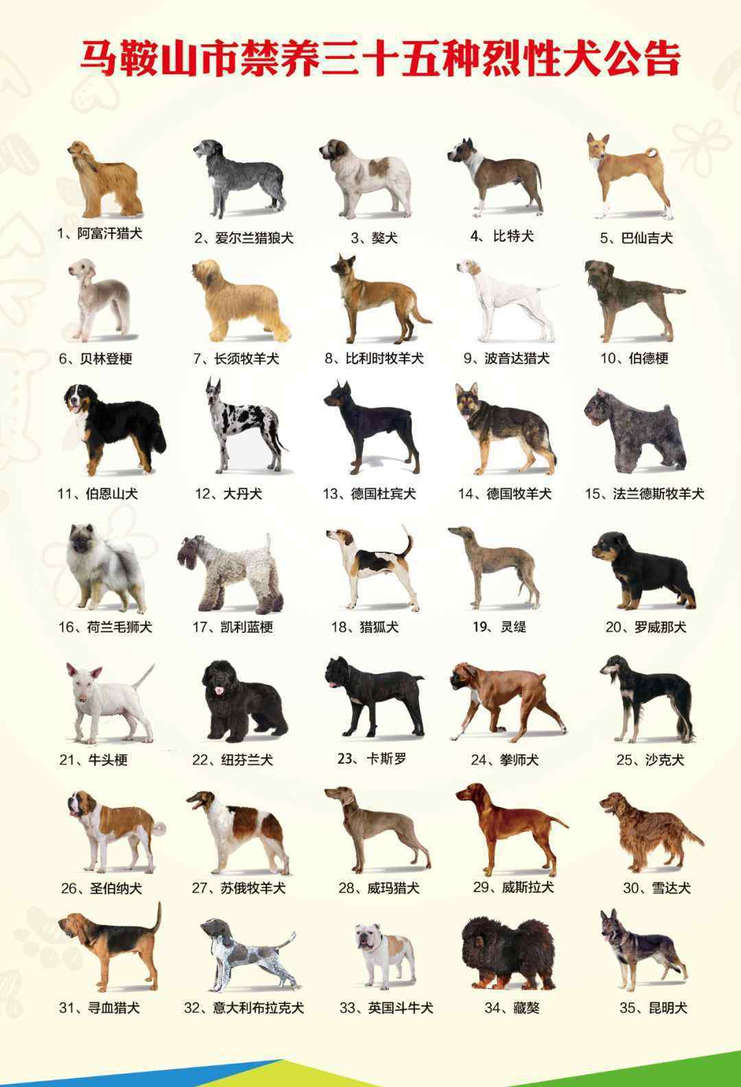贝林登梗 太狠了！贵州最严养狗新规 35种烈性犬禁止饲养！