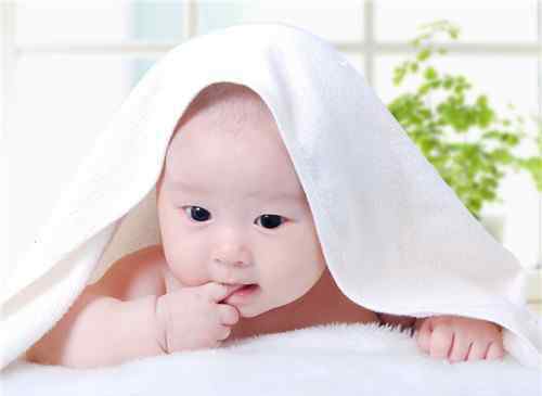 三个月的宝宝怎么早教 三个月宝宝会认人吗  三个月宝宝如何早教