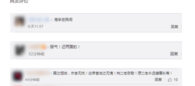 1.6万个骰子拼出钟南山袁隆平 厉害！真相是什么？