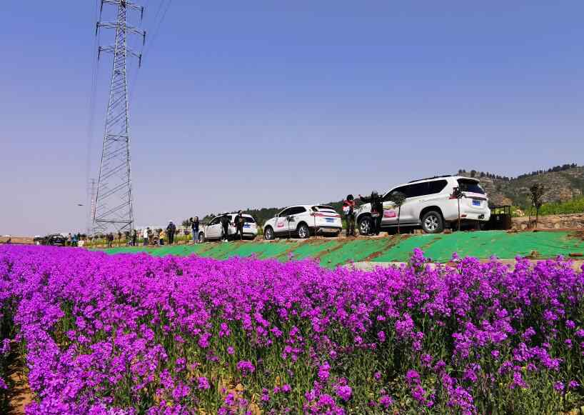 追风行者 自驾平阴赏花游首发团出发