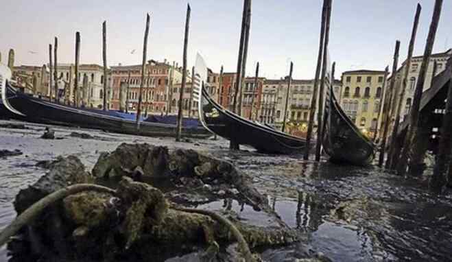 威尼斯遇罕见低潮 神奇城市!威尼斯遇罕见低潮 闻名遐迩水城反常低潮船只搁浅