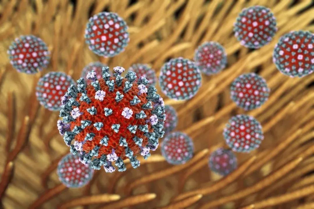钟南山称已出现同患流感和新冠病例 流感季来临如何科学预防流感