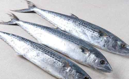鲅鱼为什么便宜 鲐鱼和鲅鱼的区别 鲐鱼有毒吗