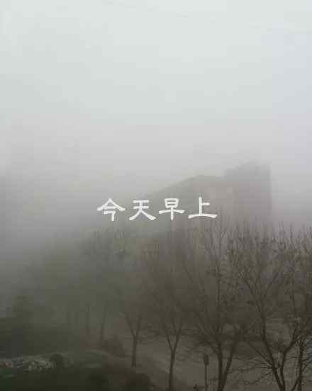 郑州大雾 大雾突袭河南！大雾天气要注意这些事儿