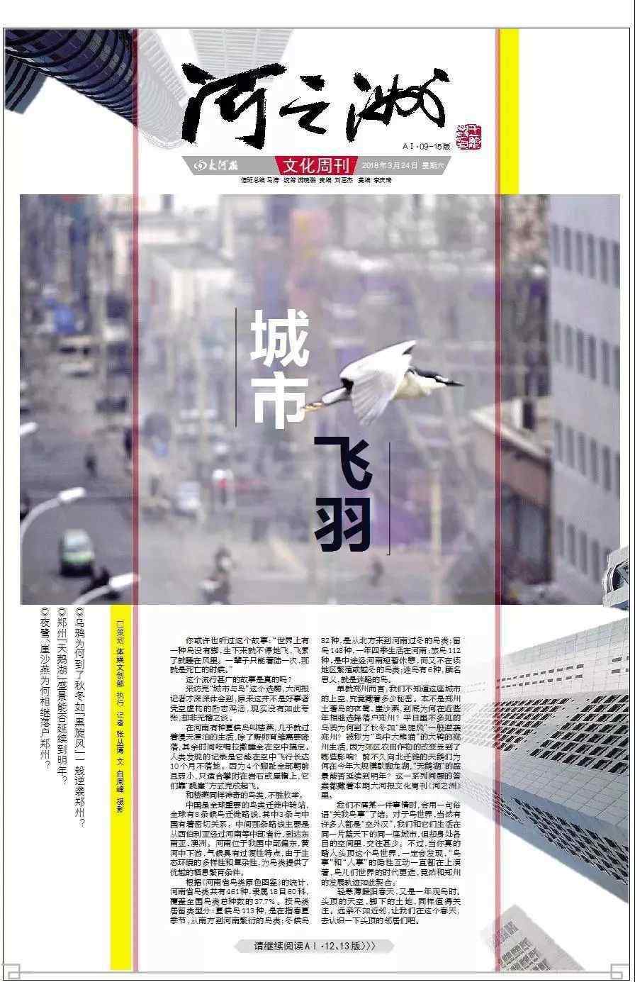 郑州移民 郑州竟藏着一座“天空之城” 好几拨鸟儿正“移民”过来