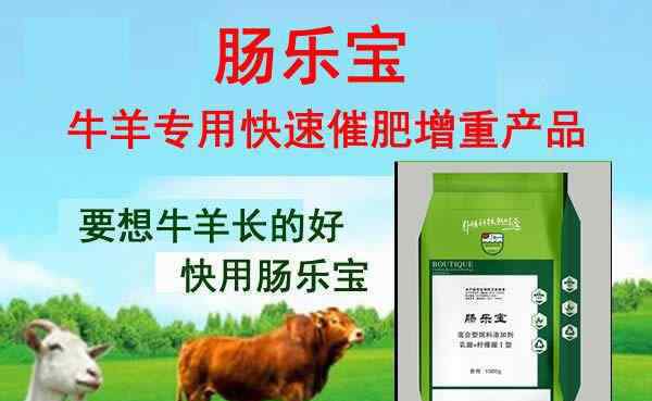 辽宁肉牛价格 今日活牛价格是多少？12.20日今日最新肉牛价格多少？育肥牛