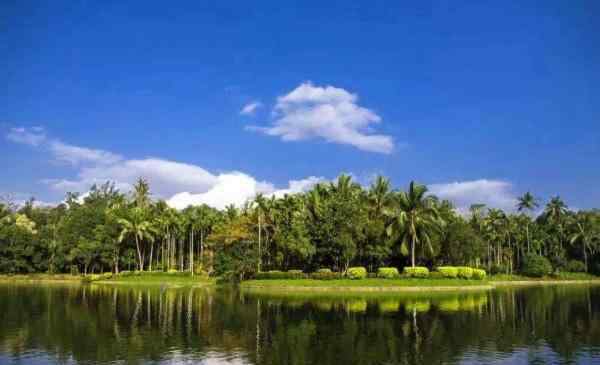 南亚热带植物园 2020湛江南亚热带植物园门票天气地址及游玩攻略