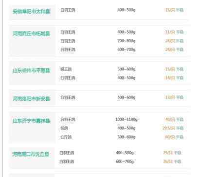 鸽子价格 今日全国各省份地区鸽子价格行情