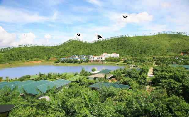 阳西温泉度假村 2020阳西咸水矿温泉度假村门票交通及项目介绍