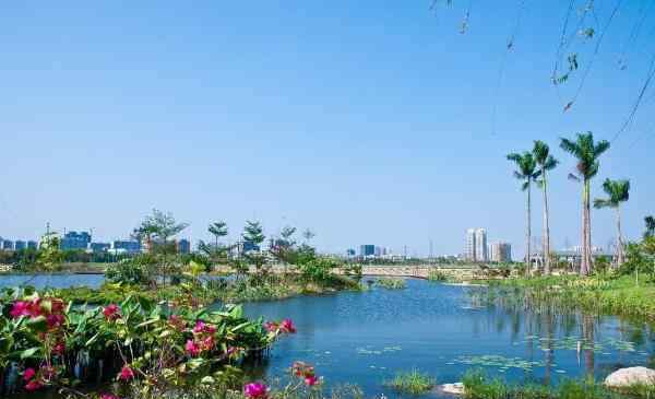 广州海珠湖 2020广州海珠湖开放时间交通及游玩攻略