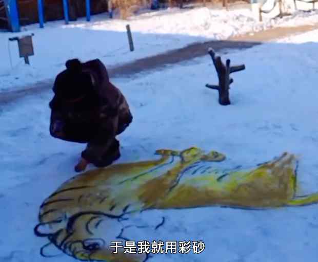 长春女子把雪地当宣纸作画 “红梅傲雪、猛虎下山” 网友：高手在民间