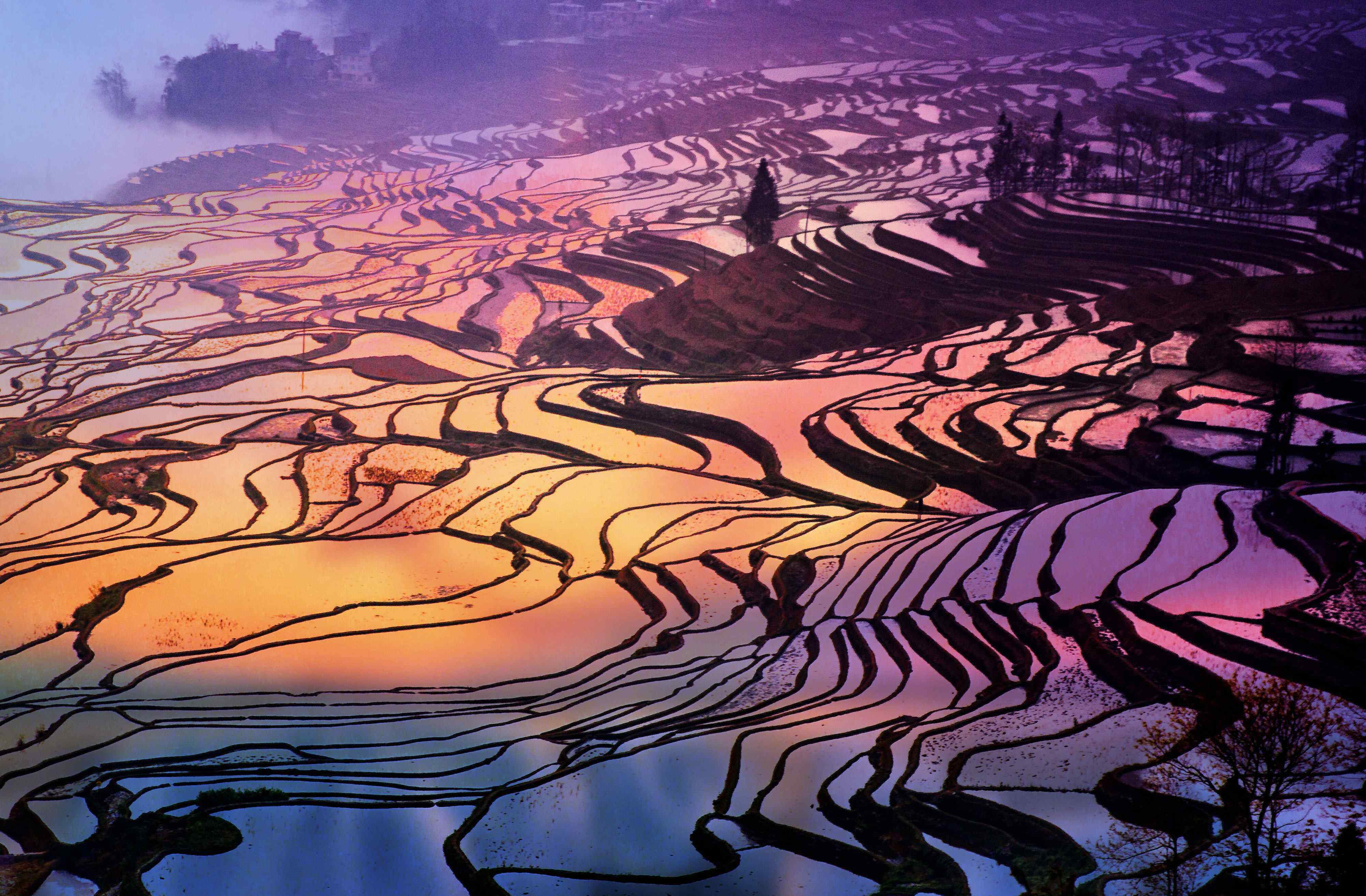 大地奇迹 大地雕塑，人间奇迹