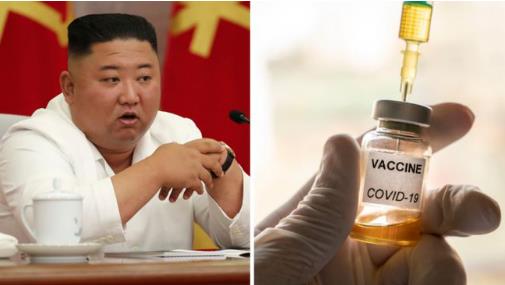 美智库专家:金正恩已接种中国疫苗  究竟是怎么一回事