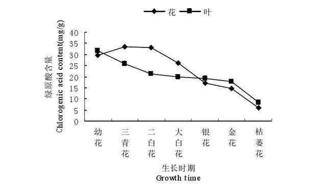 金银花什么时候开花 金银花的7个花期您知道吗，如何确定最佳的采摘时期？