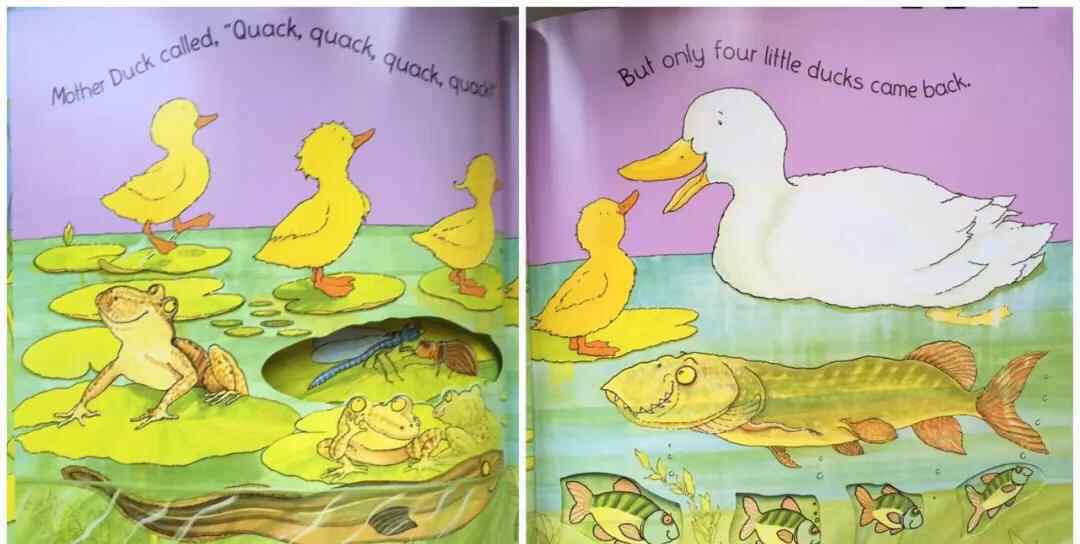 ducks怎么读 经典绘本共读：five little ducks