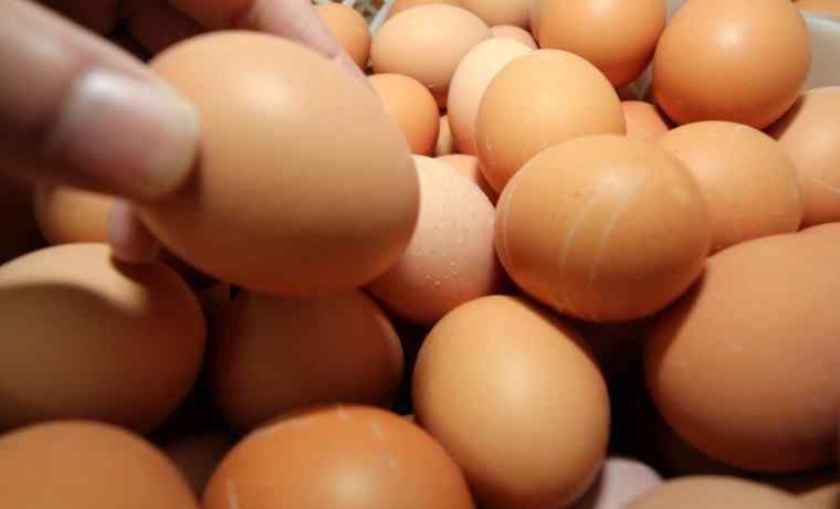 怎样识别土鸡蛋 土鸡蛋多少钱一斤 6招教你如何鉴别真假土鸡蛋