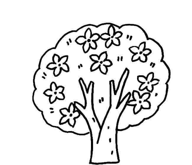 树的简笔画 开花的树简笔画图片