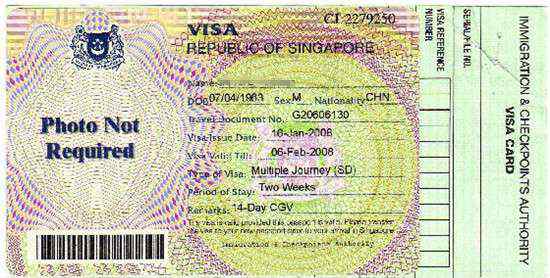 新加坡签证办理流程 新加坡签证办理流程，网上办理！