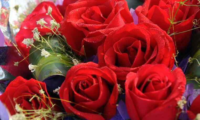 情人节送多少玫瑰 玫瑰花多少钱一支 情人节送多少朵玫瑰合适