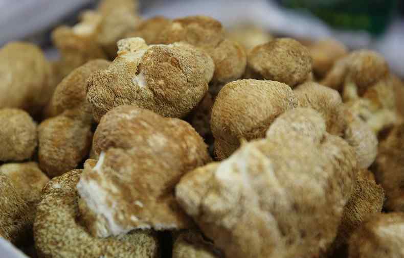 猴头菇价格 猴头菇多少钱一斤 2019年最新市场价格介绍