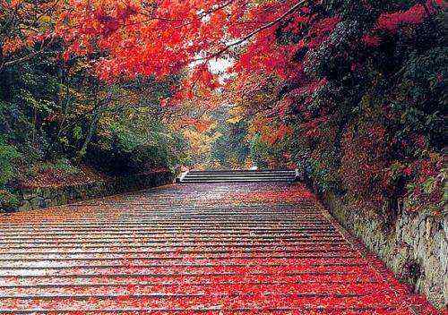 香山红叶几月份好看 香山红叶几月份好看，从9月下旬起至11月中旬！