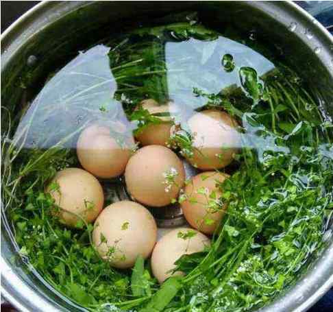生日吃鸡蛋有什么寓意 三月三煮鸡蛋三月初三到了 煮鸡蛋有什么讲究看完懂了！