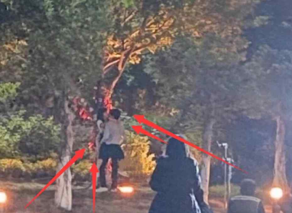 谭松韵吻戏 谭松韵宋威龙吻戏被围观是怎么回事？什么情况？终于真相了，原来是这样！