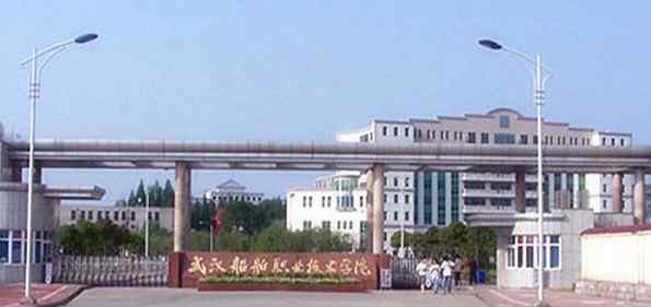 武汉语言文化职业技术学院 武汉高职高专学校排名2020