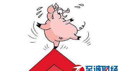 中国猪价网 04月15日全国生猪价格最新行情、今日猪价一览表